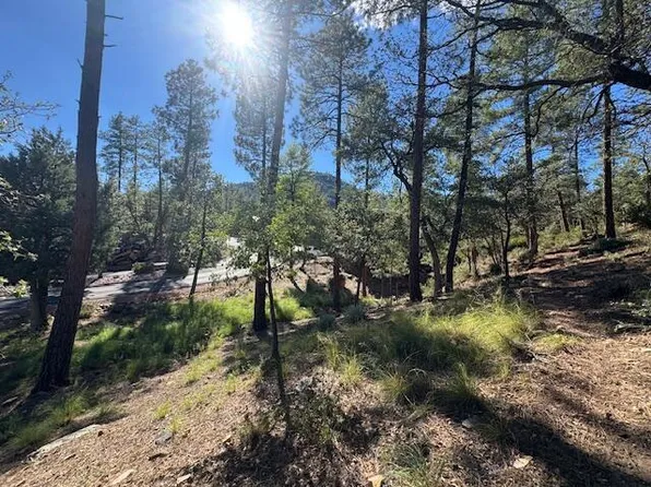 LOT 33 W Sage Ct, Pine, AZ 85544