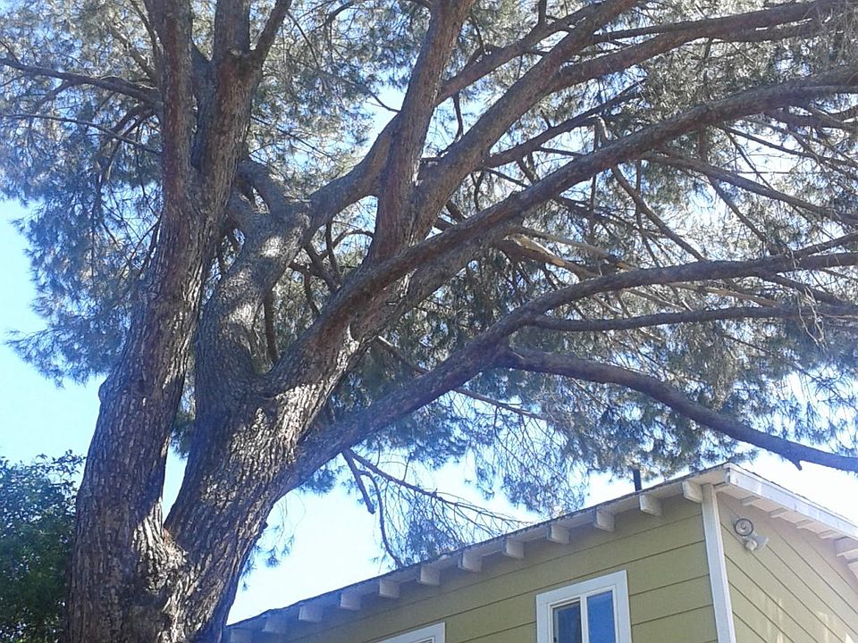 2nd image of 22458 Venido Rd