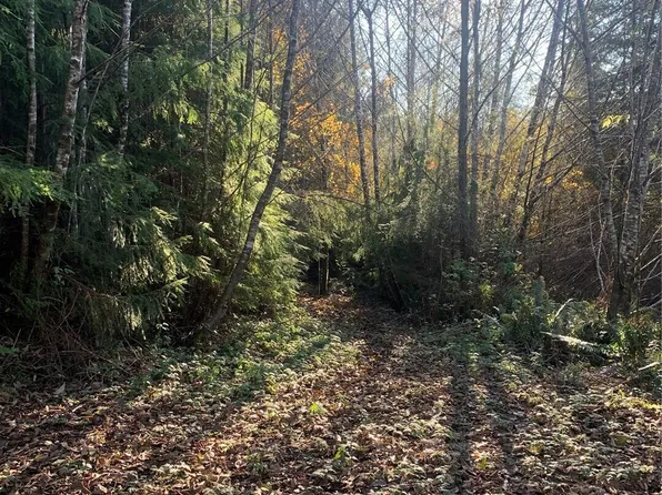 3 Tract Parpala Road, Naselle, WA 98638