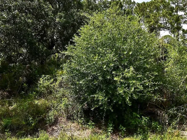 LOT 16 Rentscher Ave Lot 16, North Pt, FL 34291