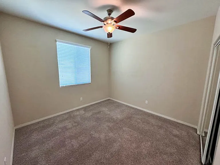 34726 Yellow Root St — Photo 13