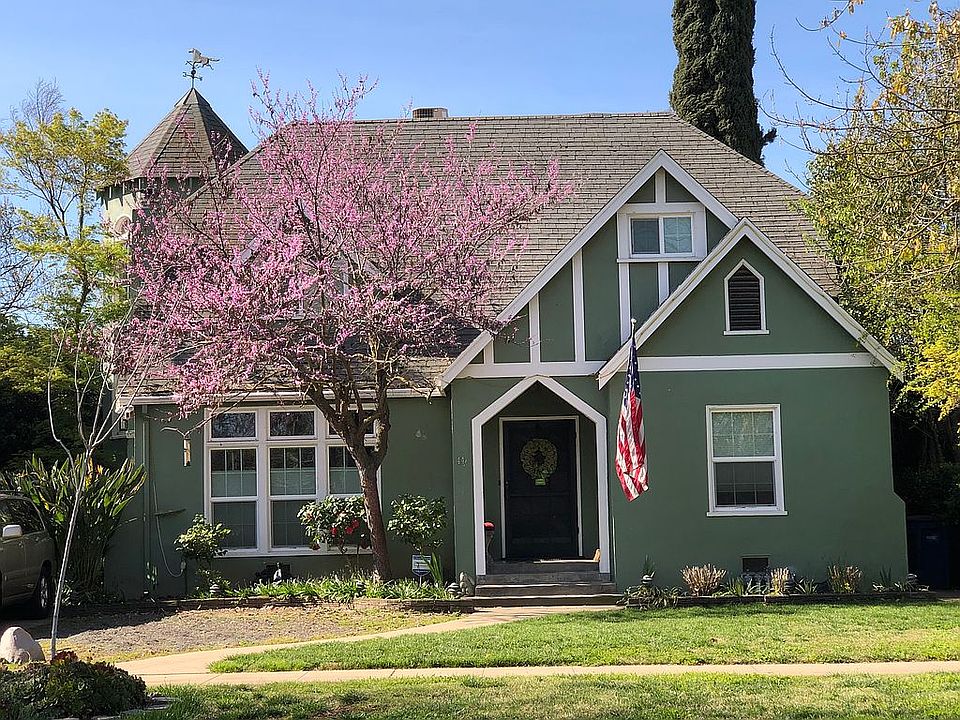 Oklahoma redbud tree Spring