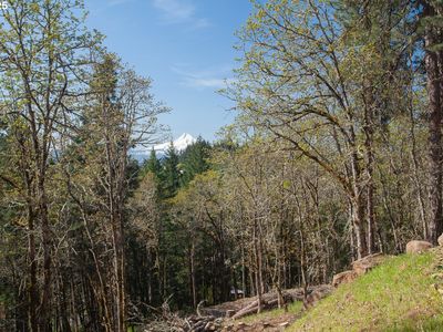 Cox Rd, White Salmon, WA, 98672