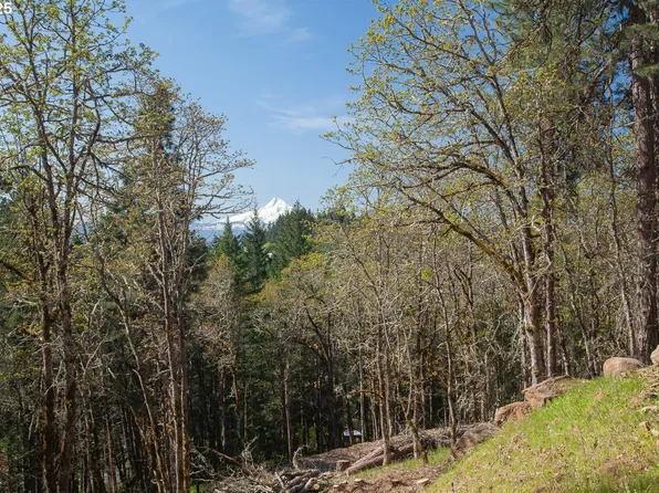 Cox Rd, White Salmon, WA 98672