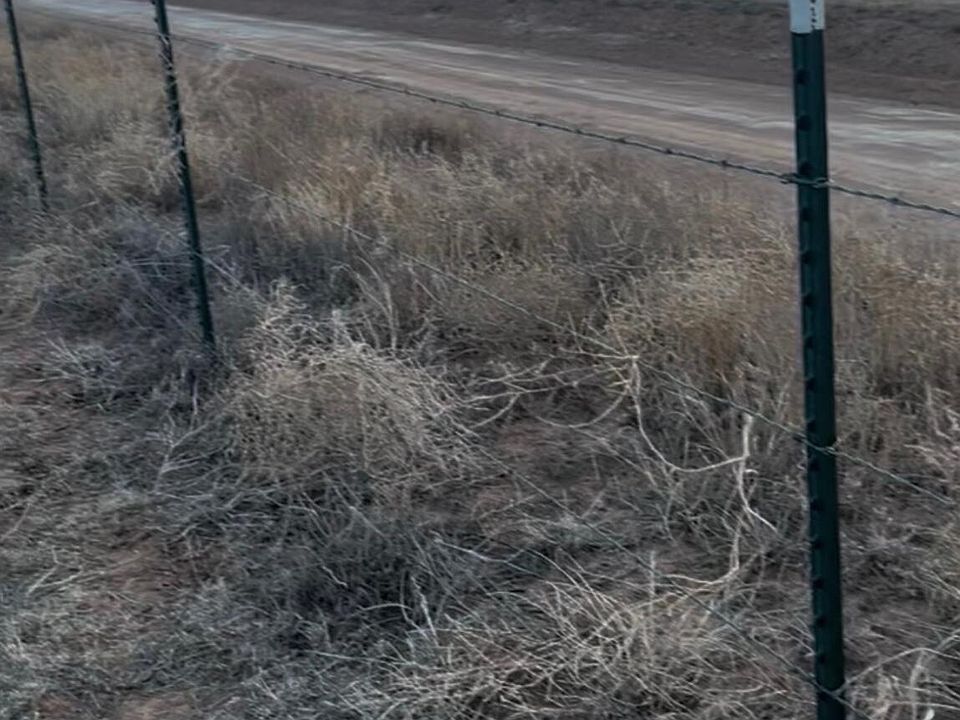 2nd image of County Road 1018