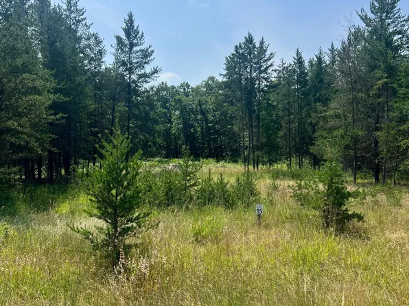 34007 Twin Oaks Loop, Motley, MN 56466