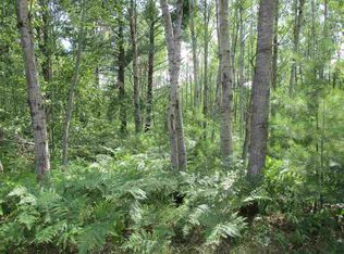 40 1/2 Road, Cadillac, MI 49601