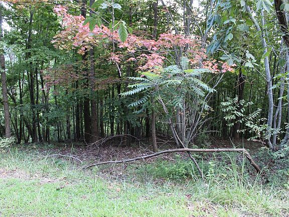 3rd image of 0 Azule Ridge Dr