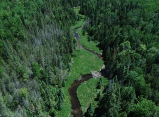 Silery Rd, Indian River, MI 49749