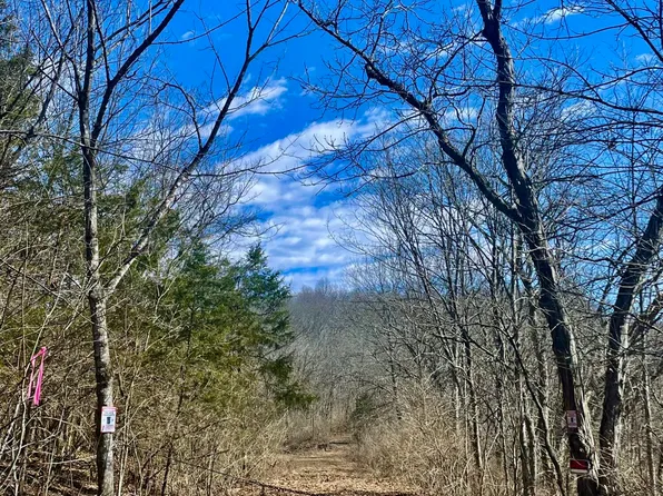 45AC Ridge Rd, Flemingsburg, KY 41041