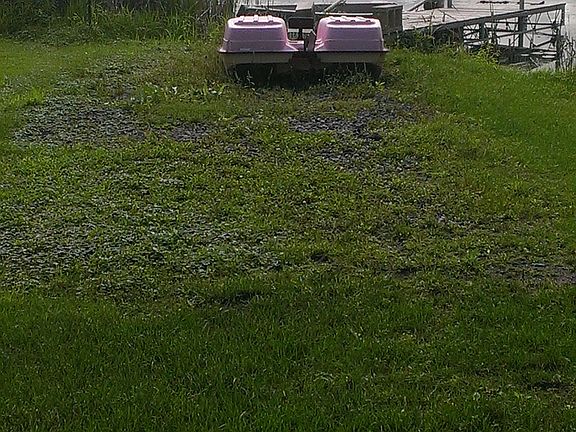 5th image of 11464 Debra Ln