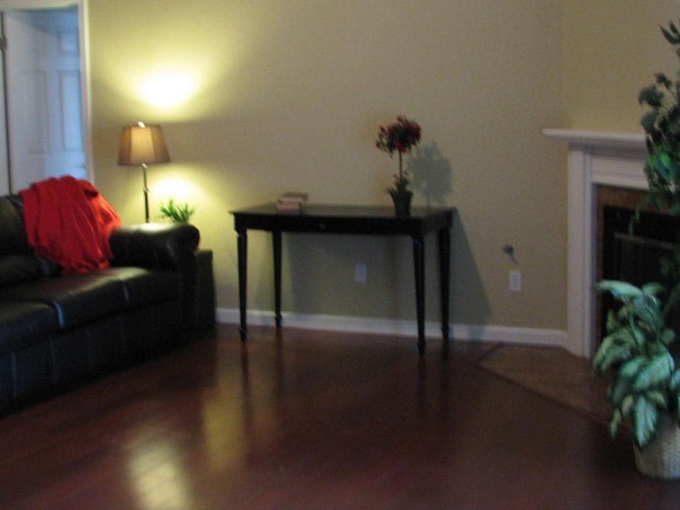 Lovely Living area with fireplace, wood floors and slider to covered patio.