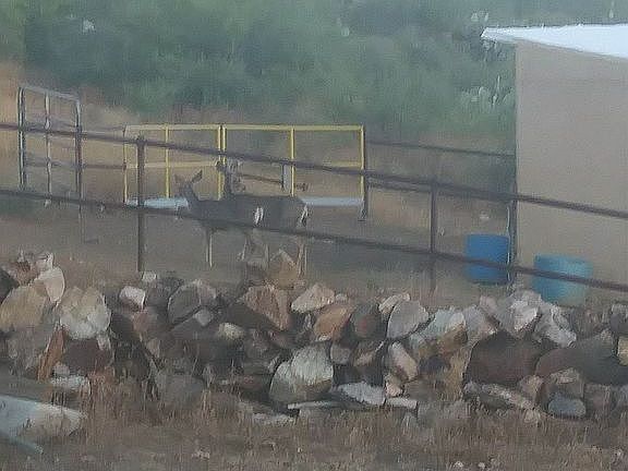 5th image of 25795 S Old Stage Rd