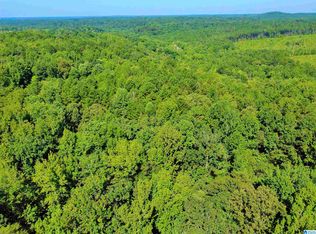 11373 Evanstown Rd #A, Berry, AL 35546