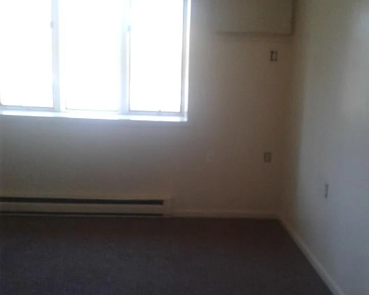 458 Maple St #5 — Photo 5
