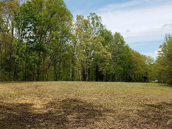 Pratt Cemetary Rd, Milan, TN 38358