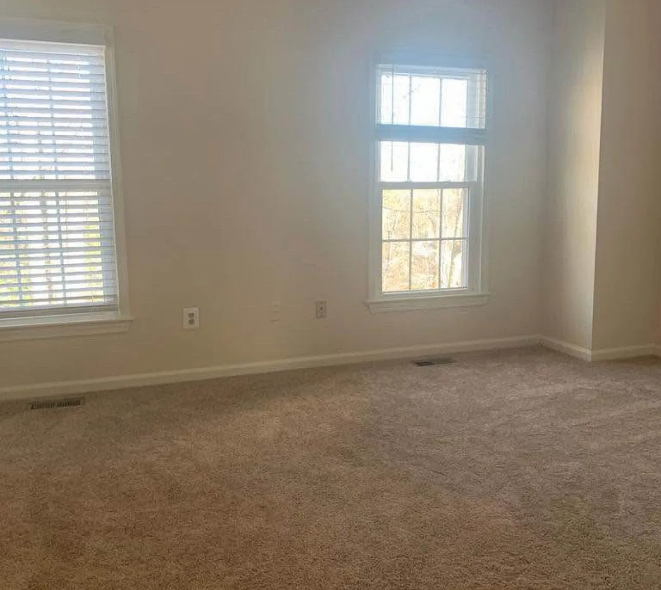 7482 Laurel Oak Ct — Photo 1