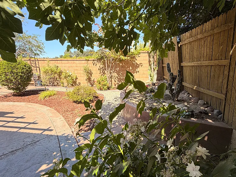Mature landscaping