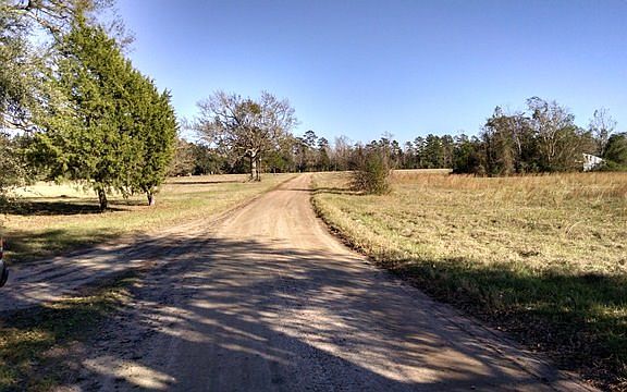 Exterior Neighborhood (street photo)