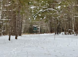 Thompson Farm Rd, Soudan, MN 55782