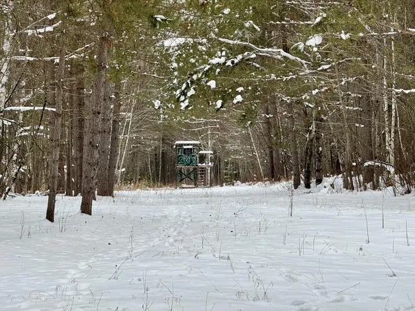 Thompson Farm Rd, Soudan, MN 55782