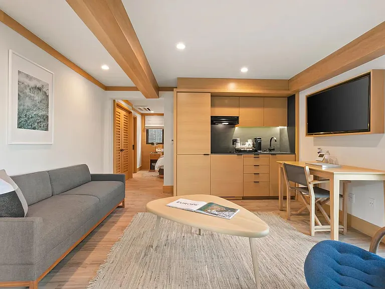 Pullout Sofa available for guests to make sleeping arrangements for 4. The pull out sofa pulls out to a Queen size bed.