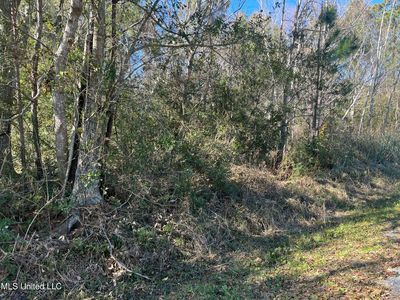 1420 Plover St, Ocean Springs, MS, 39564