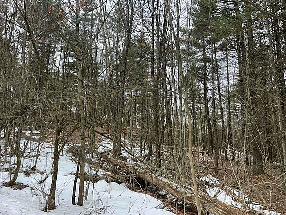 4th image of 13 Whitaker Rd