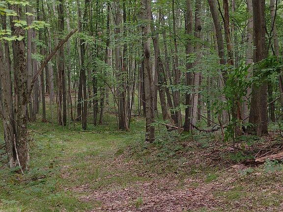 3rd image of 3/ACRE S Frank Smith Rd