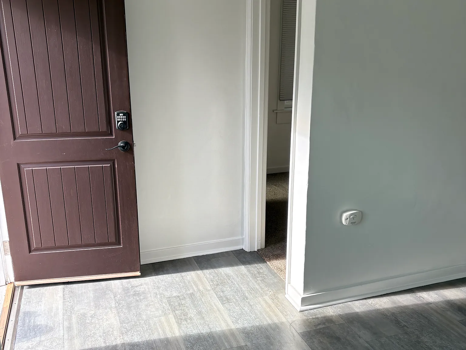 1 bed, 330 sqft, $950 — Photo 3