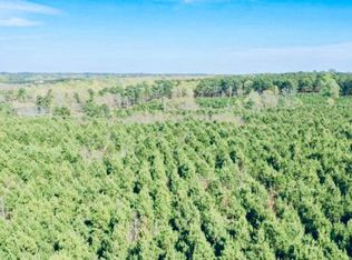 County Road 1619, Linden, TX 75563