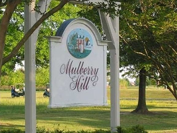 3rd image of 113 Mulberry Hill Ln
