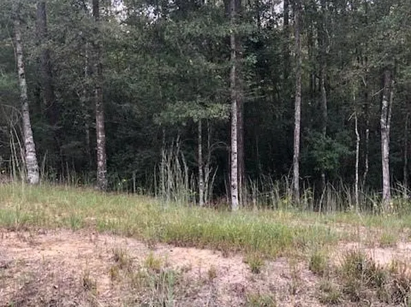 Highway 40, Bush, LA 70431