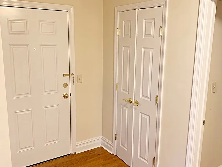 256 Franklin Ave #3C — Photo 11