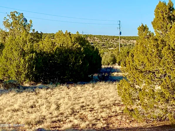 8476 Alpine Pl, Show Low, AZ 85901