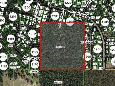0 E Lot Ct, Dunnellon, FL, 34434