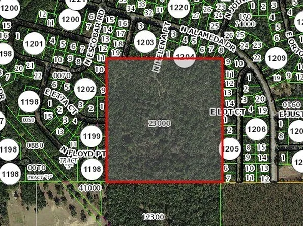 0 E Lot Ct, Dunnellon, FL 34434
