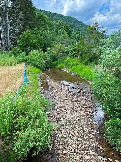 2nd image of 1950 E Fork Rd