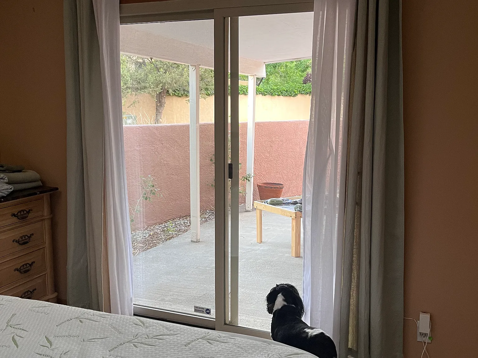 Quail Run Dr NE, Albuquerque — Photo 2