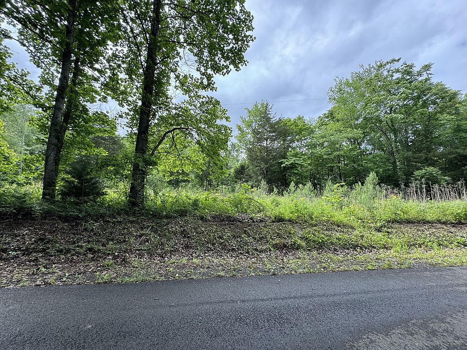 2nd image of 0 B Y Brown Rd