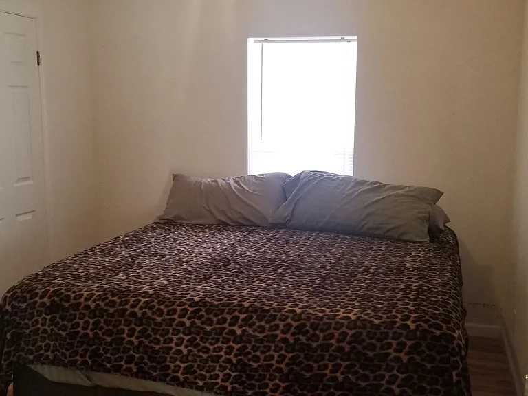 3130 William Dr — Photo 23
