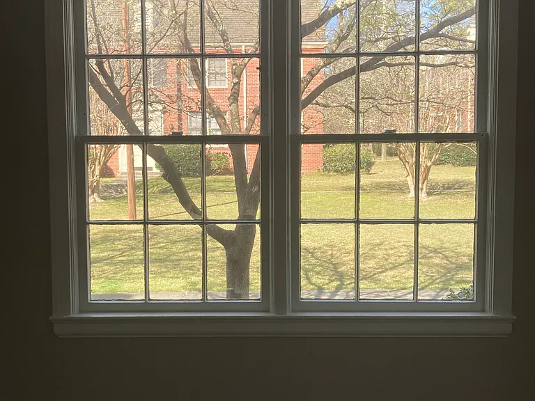 View from bedroom window