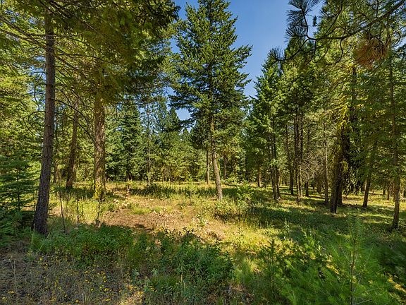 4th image of 5545 Lupine Ln