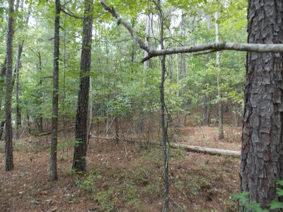 60 LBK CIRCLE, Tignall, GA, 30668
