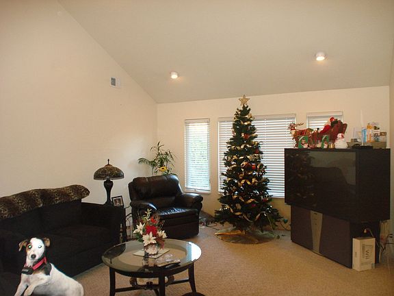 Spacious Living Room with Vaulted Ceilings