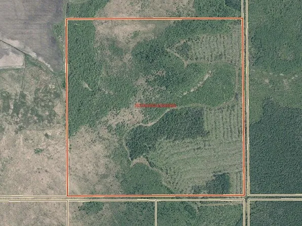 0 Wilson Creek Rd, Dawson, ON P0W 1L0