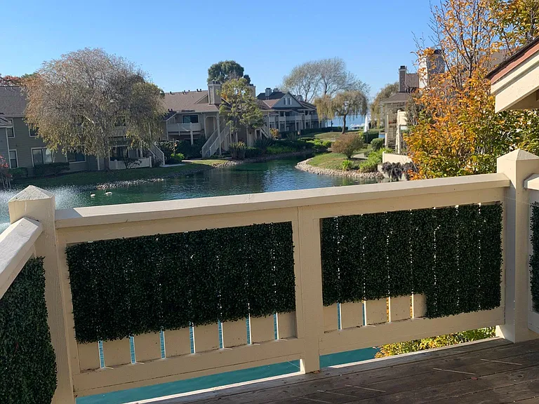 236 Shoreline Ct — Photo 9