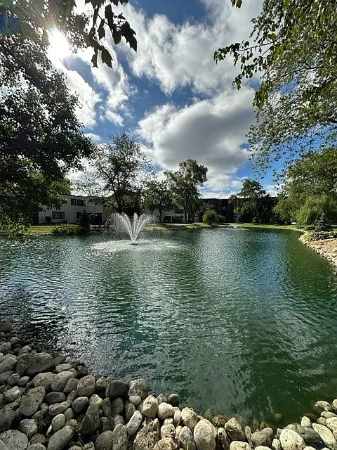 Arboretum Villages — Photo 4