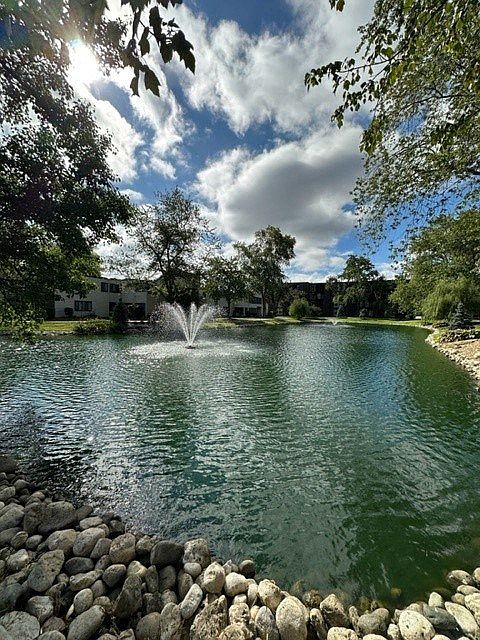 Serene Ponds & Fountains