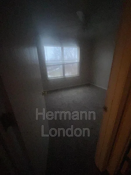 Thumbnail 15